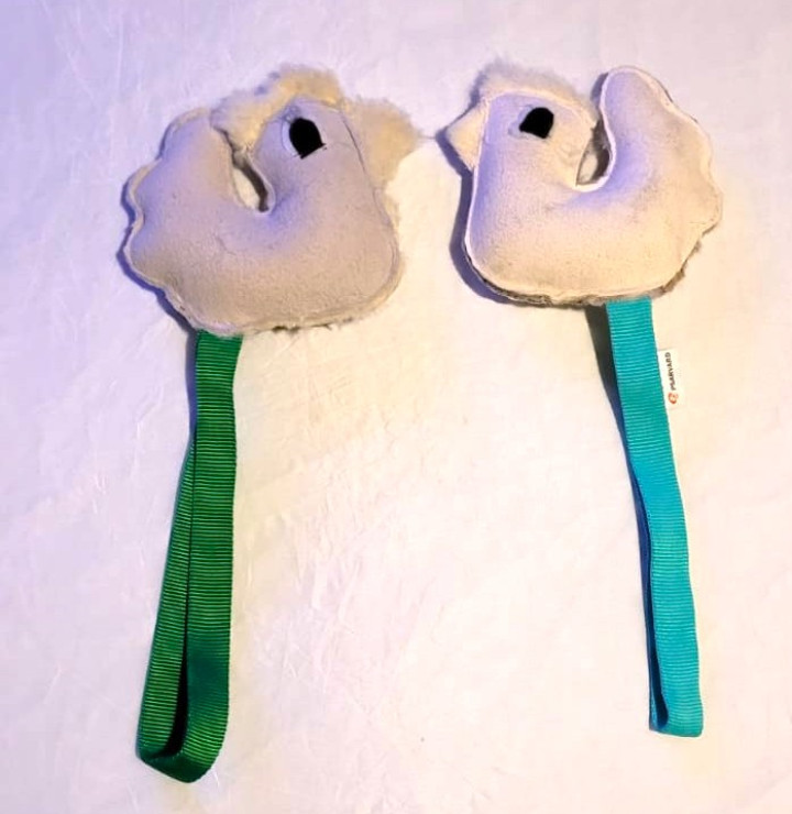 S-KURA - ZABAWKA ZE SKÓRY OWCZEJ